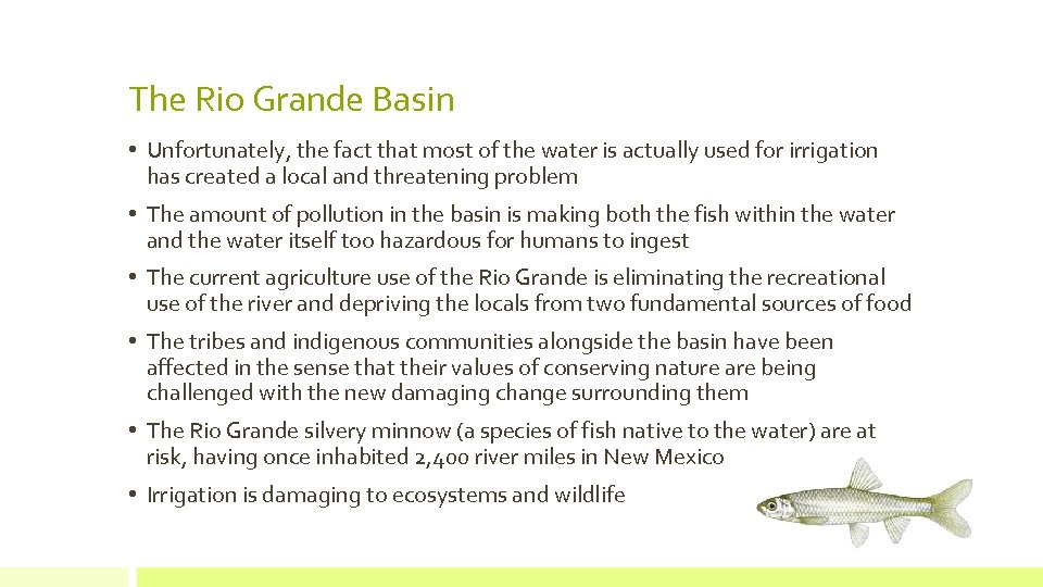 The Rio Grande Basin • Unfortunately, the fact that most of the water is