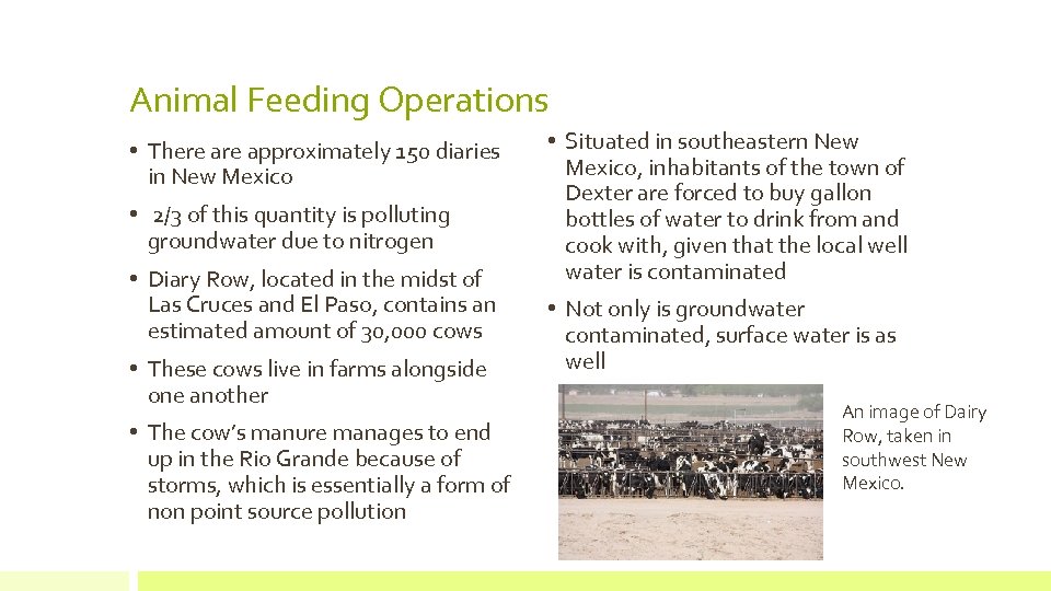 Animal Feeding Operations • There approximately 150 diaries in New Mexico • 2/3 of