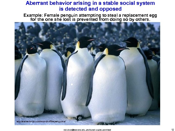 Aberrant behavior arising in a stable social system is detected and opposed Example: Female