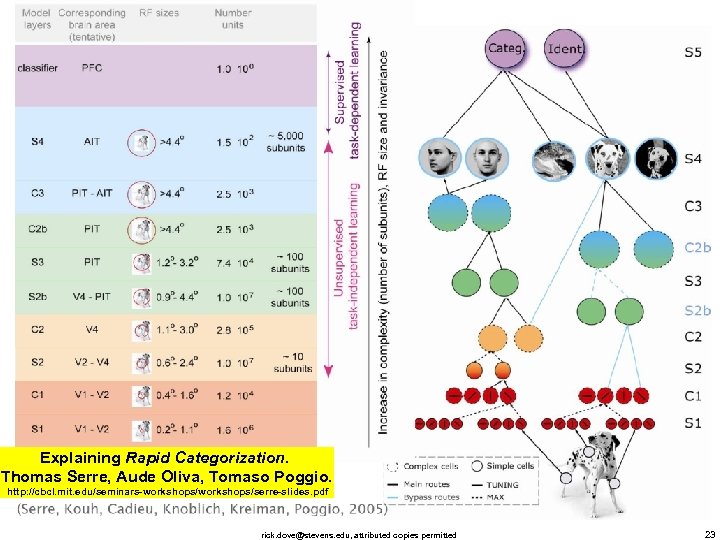 Explaining Rapid Categorization. Thomas Serre, Aude Oliva, Tomaso Poggio. http: //cbcl. mit. edu/seminars-workshops/serre-slides. pdf