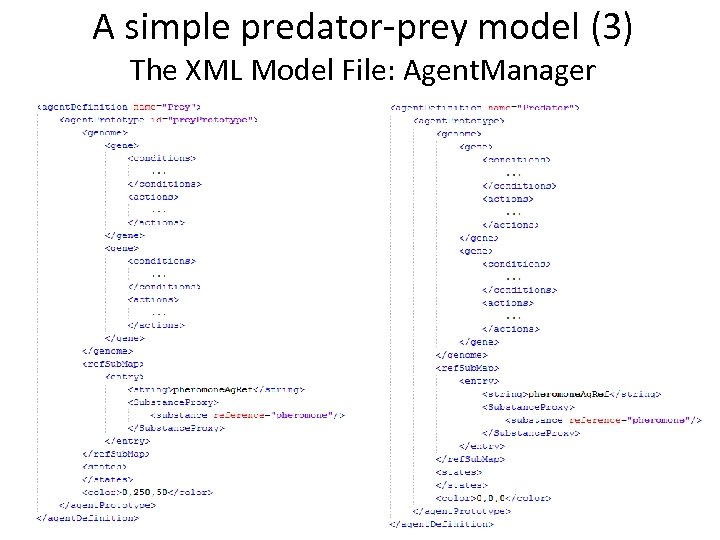 A simple predator-prey model (3) The XML Model File: Agent. Manager 