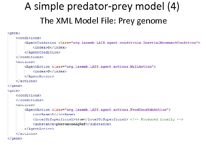 A simple predator-prey model (4) The XML Model File: Prey genome 