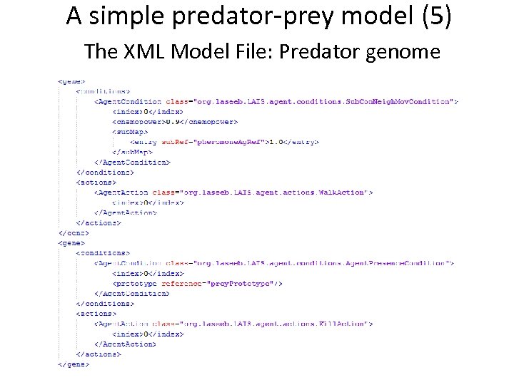 A simple predator-prey model (5) The XML Model File: Predator genome 