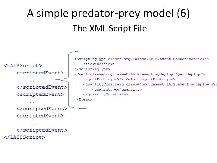 A simple predator-prey model (6) The XML Script File 