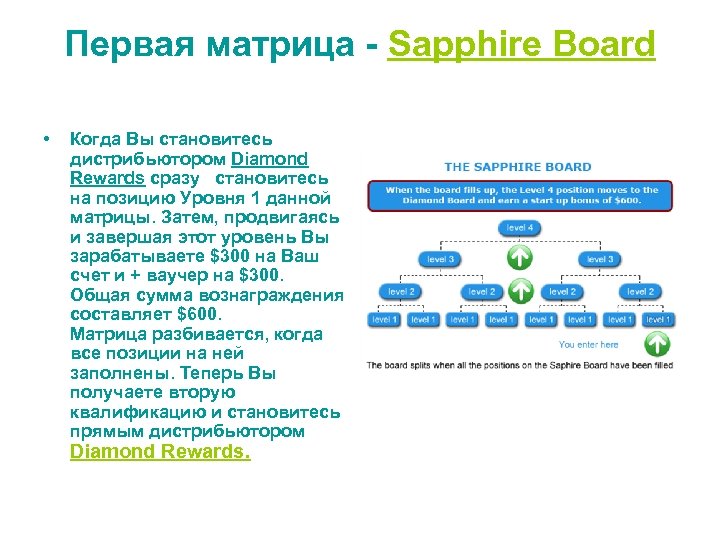 Первая матрица - Sapphire Board • Когда Вы становитесь дистрибьютором Diamond Rewards сразу становитесь