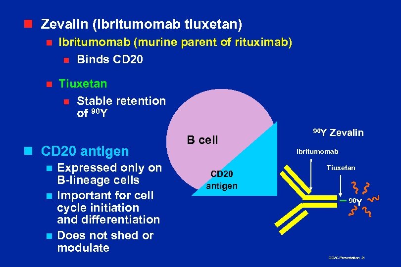 n Zevalin (ibritumomab tiuxetan) n Ibritumomab (murine parent of rituximab) n Binds CD 20
