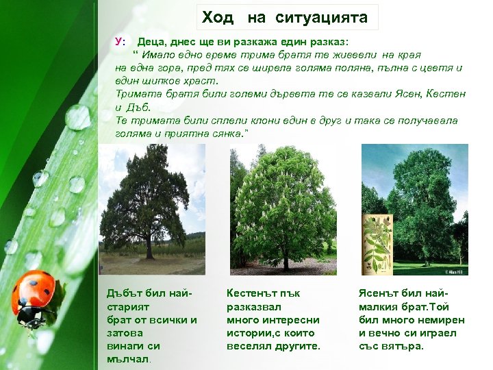 Ход на ситуацията У: Деца, днес ще ви разкажа един разказ: “ Имало едно