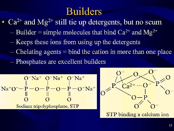 Builders • Ca 2+ and Mg 2+ still tie up detergents, but no scum