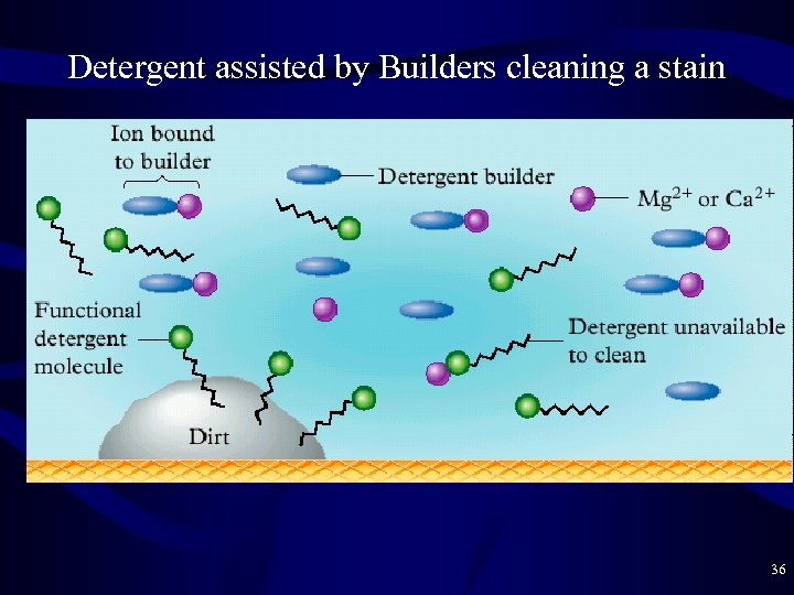 Detergent assisted by Builders cleaning a stain 36 