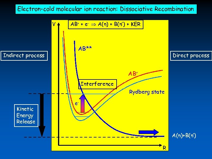 Electron-cold molecular ion reaction: Dissociative Recombination V Indirect process AB+ + e- A(n) +