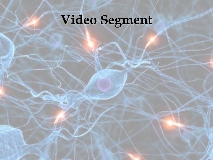 Video Segment 