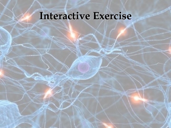 Interactive Exercise 
