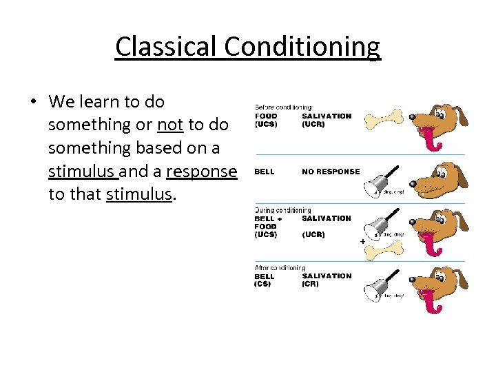 Classical Conditioning • We learn to do something or not to do something based