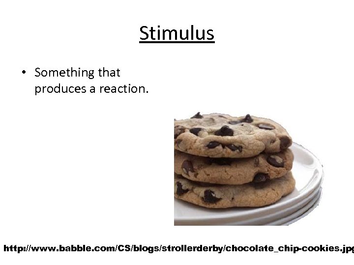 Stimulus • Something that produces a reaction. http: //www. babble. com/CS/blogs/strollerderby/chocolate_chip-cookies. jpg 