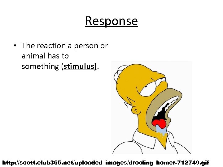 Response • The reaction a person or animal has to something (stimulus). http: //scott.