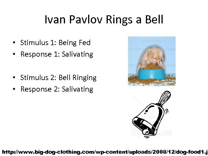 Ivan Pavlov Rings a Bell • Stimulus 1: Being Fed • Response 1: Salivating