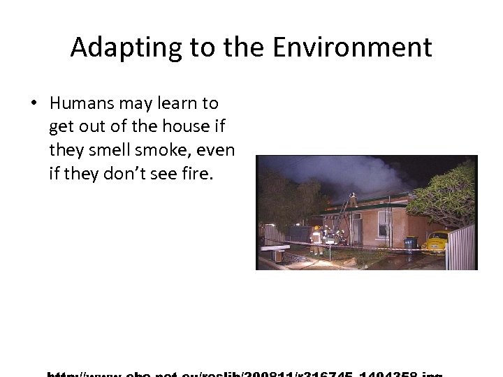 Adapting to the Environment • Humans may learn to get out of the house