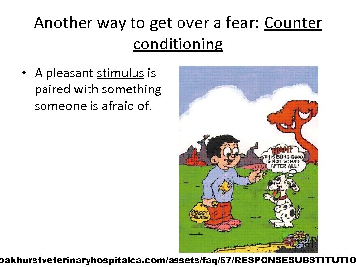 Another way to get over a fear: Counter conditioning • A pleasant stimulus is