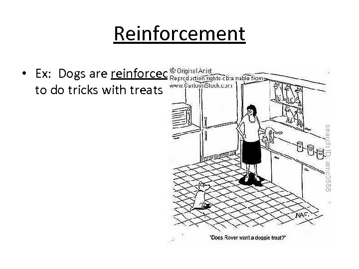 Reinforcement • Ex: Dogs are reinforced to do tricks with treats 