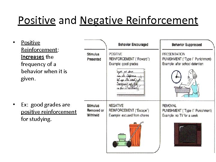 Positive and Negative Reinforcement • Positive Reinforcement: increases the frequency of a behavior when