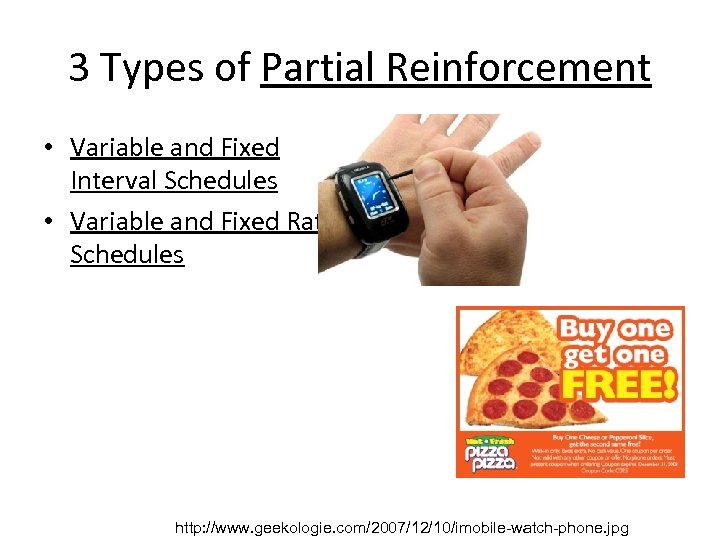 3 Types of Partial Reinforcement • Variable and Fixed Interval Schedules • Variable and