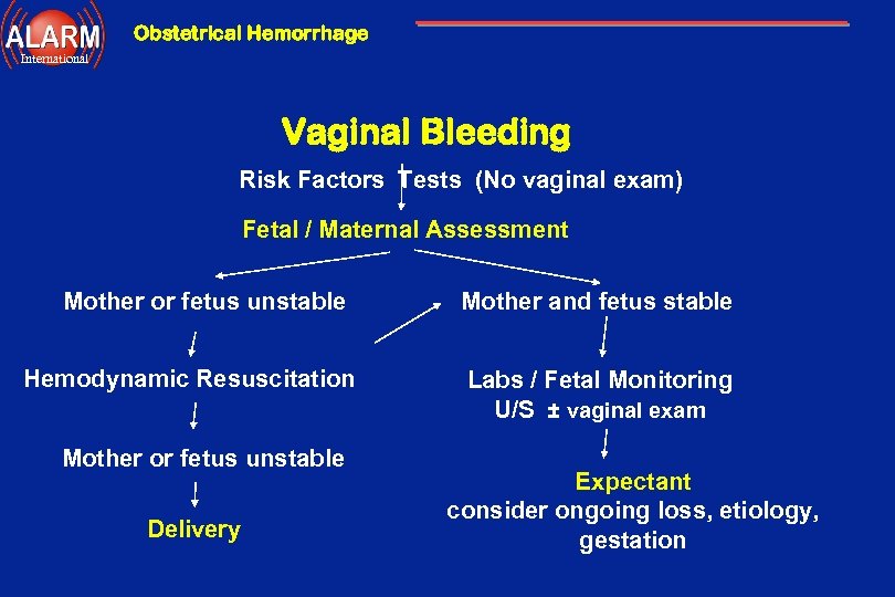 Obstetrical Hemorrhage International Vaginal Bleeding Risk Factors Tests (No vaginal exam) Fetal / Maternal