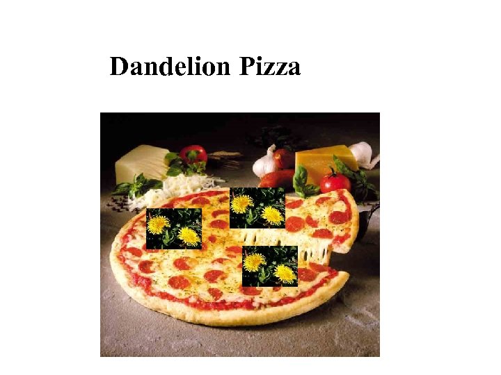 Dandelion Pizza 