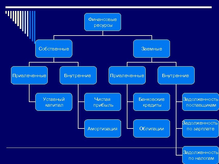 Финансовые ресурсы Собственные Привлеченные Заемные Внутренние Уставный капитал Привлеченные Чистая прибыль Амортизация Внутренние Банковские