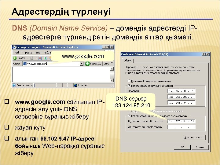 Адрестердің түрленуі DNS (Domain Name Service) – домендік адрестерді IPадрестерге түрлендіретін домендік аттар қызметі.