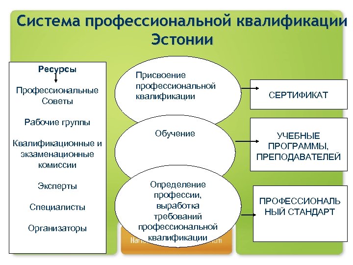 Система профессиональной квалификации Эстонии Ресурсы Профессиональные Советы Присвоение профессиональной квалификации СЕРТИФИКАТ Рабочие группы Обучение