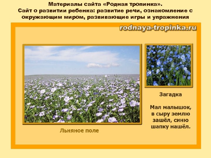 Материалы сайта «Родная тропинка» . Сайт о развитии ребенка: развитие речи, ознакомление с окружающим