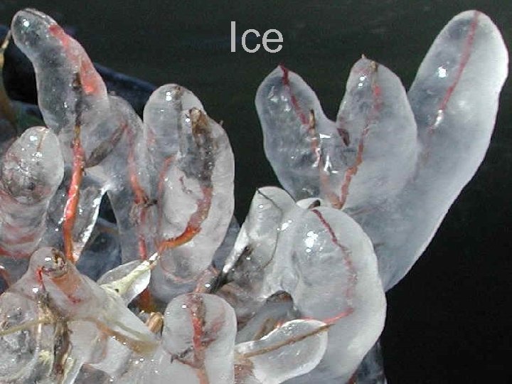 Ice 