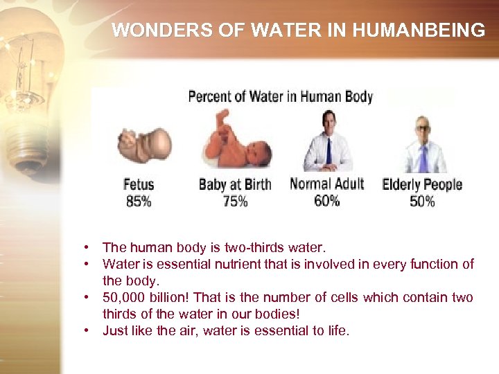 WONDERS OF WATER IN HUMANBEING • The human body is two-thirds water. • Water