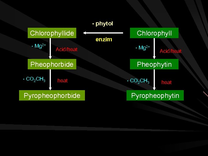 - phytol Chlorophyllide - Mg 2+ Acid/heat Pheophorbide - CO 2 CH 3 heat