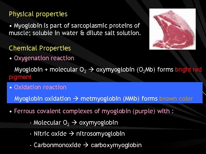 Physical properties • Myoglobin is part of sarcoplasmic proteins of muscle; soluble in water