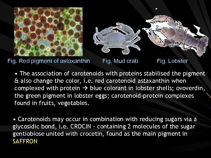Fig. Red pigment of astaxanthin Fig. Mud crab Fig. Lobster • The association of