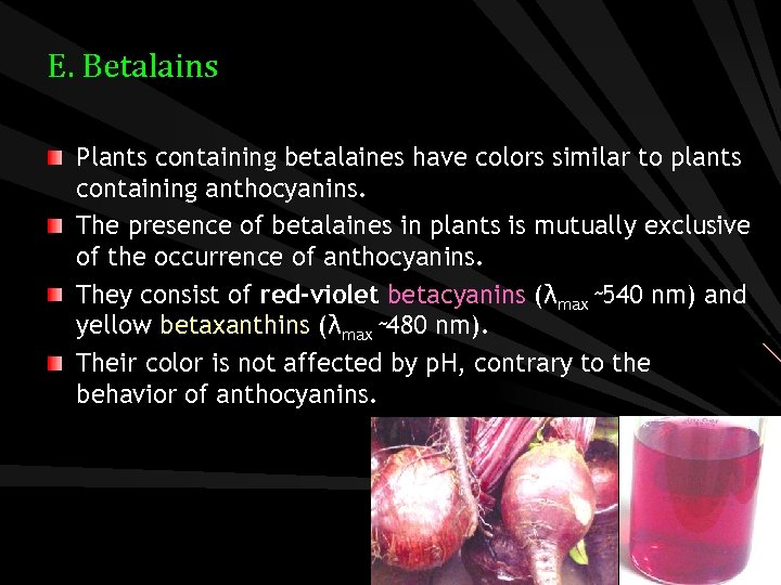 E. Betalains Plants containing betalaines have colors similar to plants containing anthocyanins. The presence