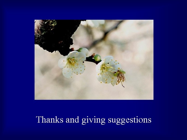  Thanks and giving suggestions 