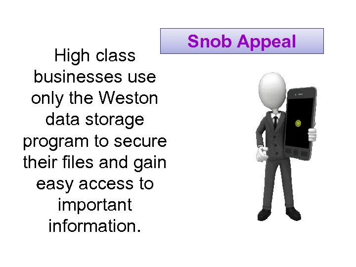 High class businesses use only the Weston data storage program to secure their files