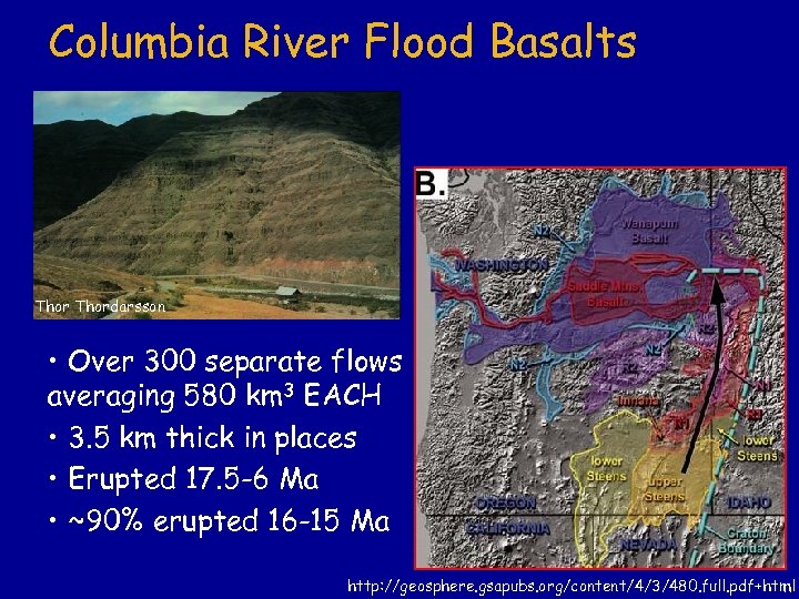 Columbia River Flood Basalts Thordarsson • Over 300 separate flows averaging 580 km 3