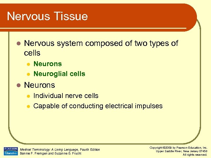 Nervous Tissue l Nervous system composed of two types of cells l l l