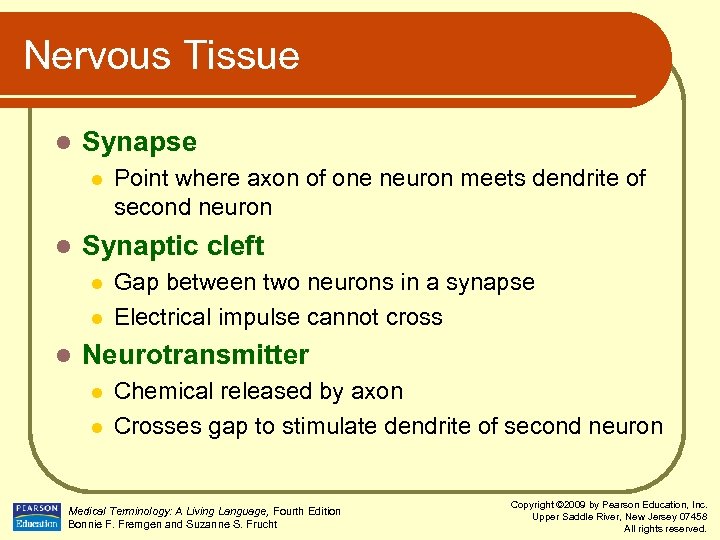 Nervous Tissue l Synapse l l Synaptic cleft l l l Point where axon