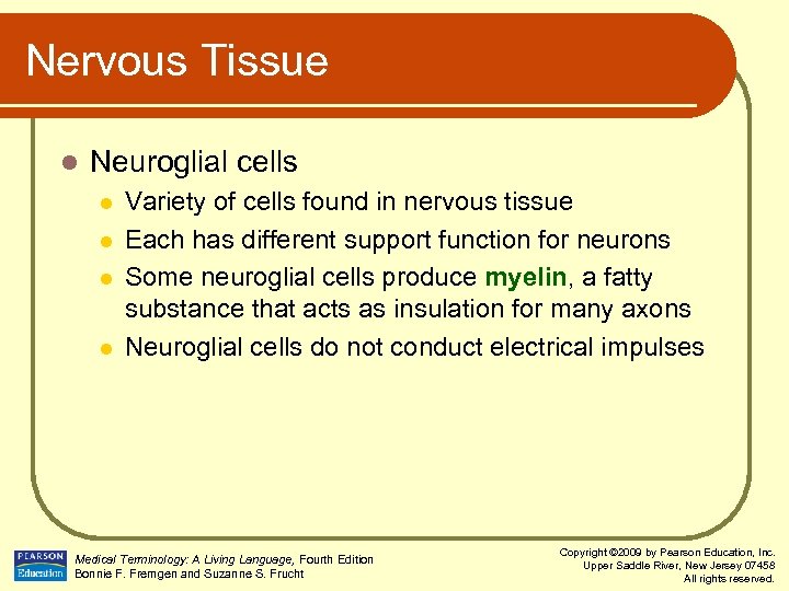 Nervous Tissue l Neuroglial cells l l Variety of cells found in nervous tissue