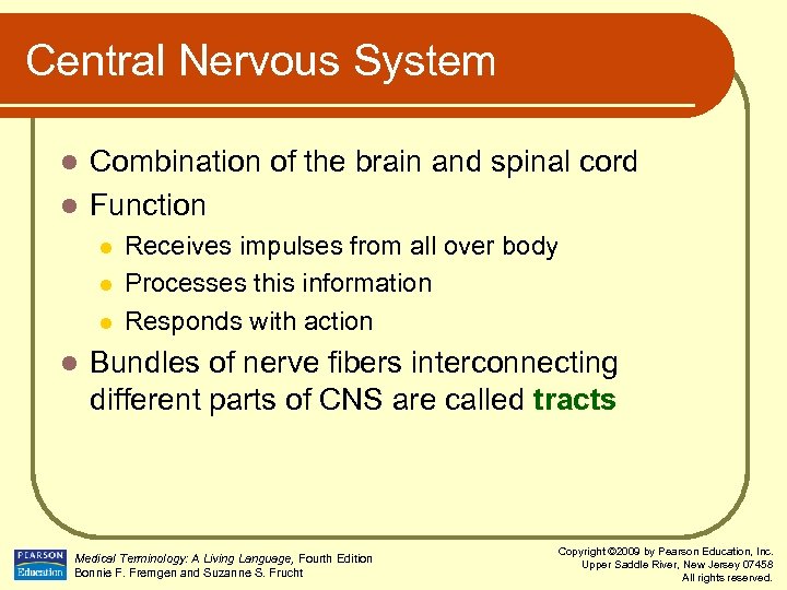 Central Nervous System Combination of the brain and spinal cord l Function l l