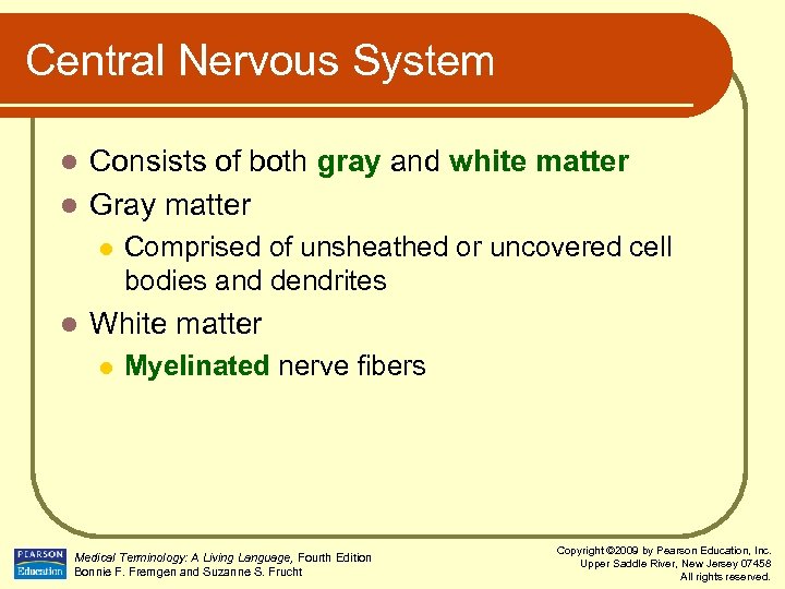 Central Nervous System Consists of both gray and white matter l Gray matter l