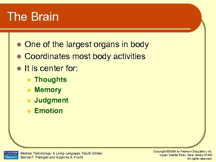 The Brain One of the largest organs in body l Coordinates most body activities