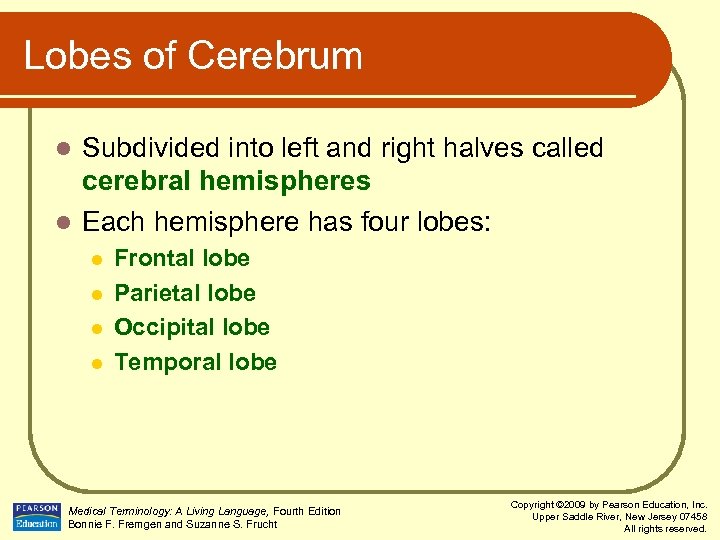 Lobes of Cerebrum Subdivided into left and right halves called cerebral hemispheres l Each