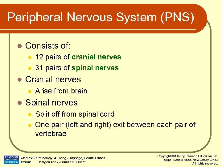 Peripheral Nervous System (PNS) l Consists of: l l l Cranial nerves l l