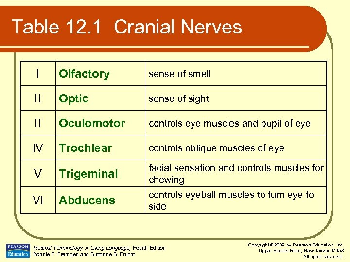 Table 12. 1 Cranial Nerves I Olfactory sense of smell II Optic sense of