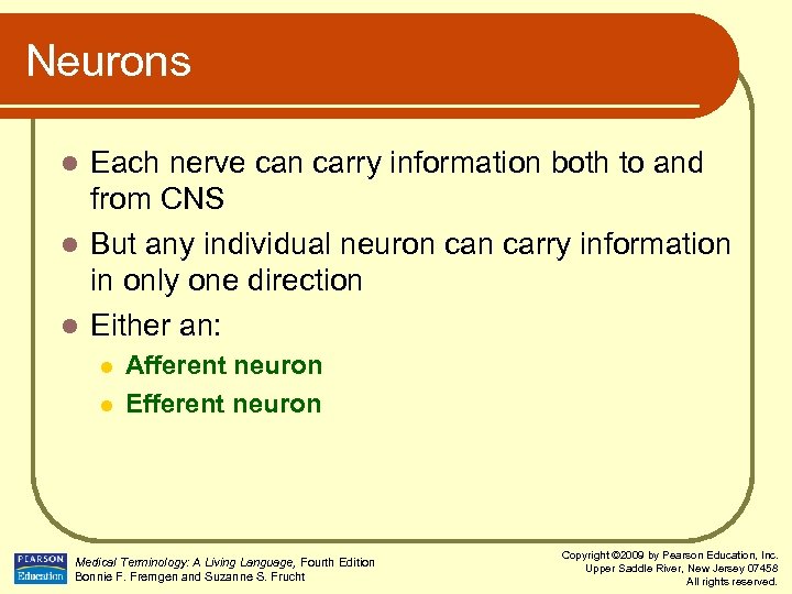 Neurons Each nerve can carry information both to and from CNS l But any